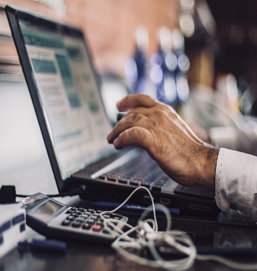 multimarca y multiplataforma